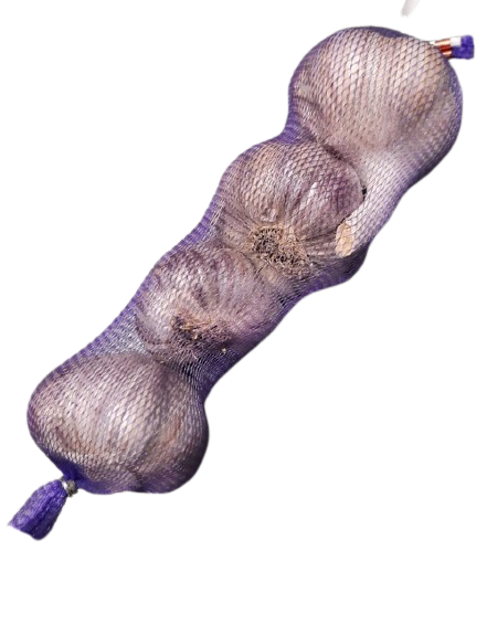sadby česneku Topaz
