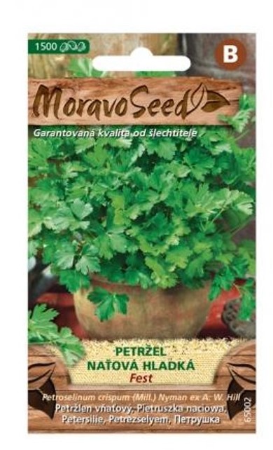 Petržel naťová hladká – semena aromatické bylinky ps3925