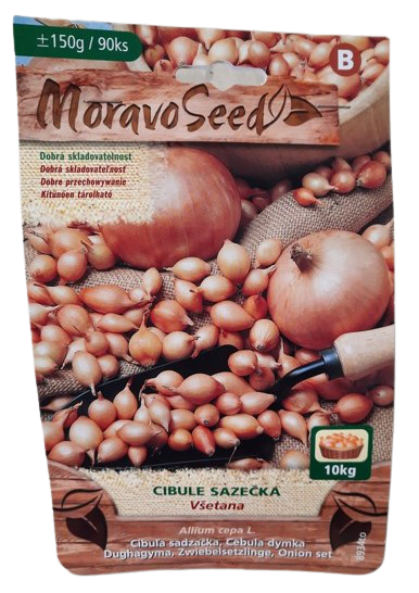 Cibule sazečka Všetana (cca 150 g)