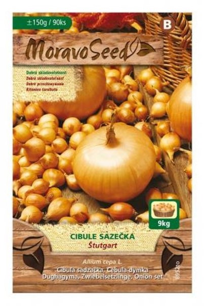 Cibule sazečka Štutgart (cca 150 g)