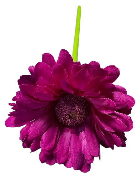 Gerbera na stonku ps1794