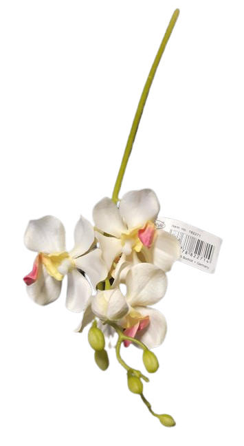 orchidea na stonku ps1847