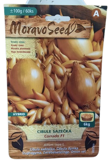 Cibule sazečka Corrado F1 (cca 100 g)