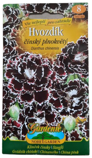 Sleva - Hvozdík karafiát čínský plnokvětý