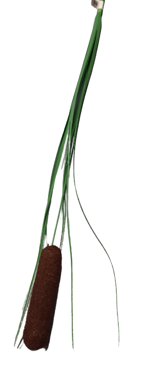 Dekorativní tráva doutník ph496