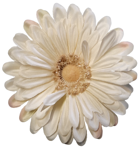 Vazbový květ gerbera krémová ps2285