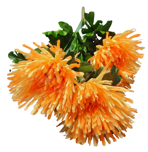 Chryzantéma puget žlutá/oranžová ps2294