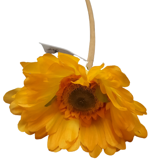 Gerbera žlutá ps2295