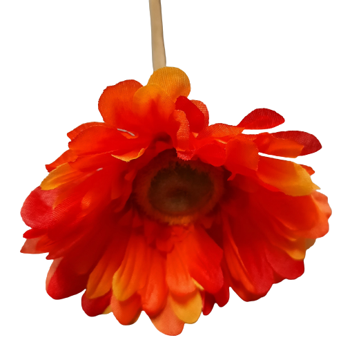 Gerbera oranžová ps2296