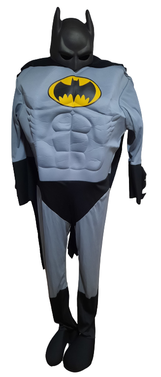 Maska kostým Batman ph2116