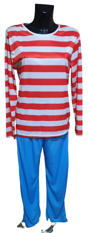 Maškarní kostým kde je wally ps2990