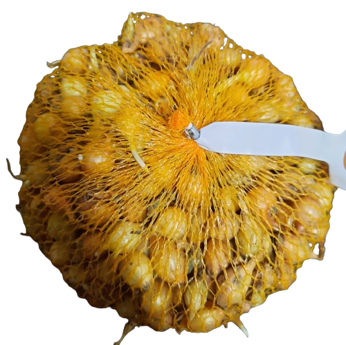 Cibule sazečka Štutgart ph2601