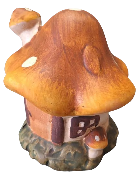 Mochomůrka hnědá
