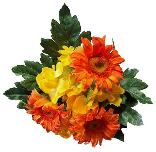 puget gerbera oranžová