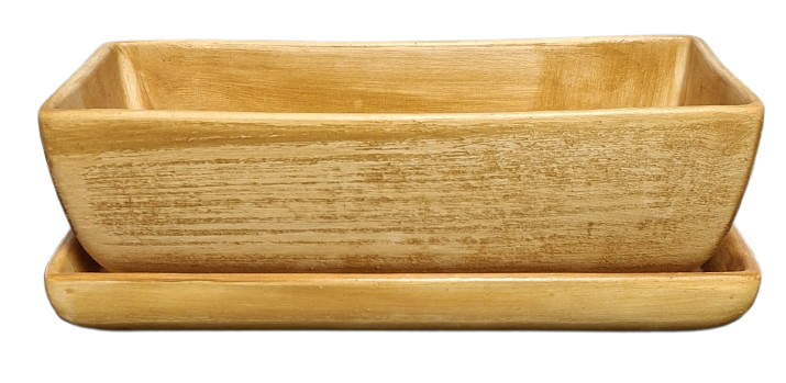 Truhlík kaktus s podmiskou
