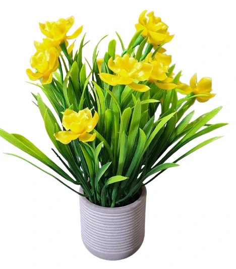 Narcis v květináči žlutý