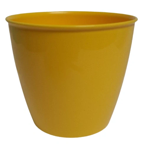 Plastový obal Academi žlutý