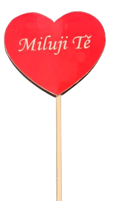Zápich Miluji tě ps3624