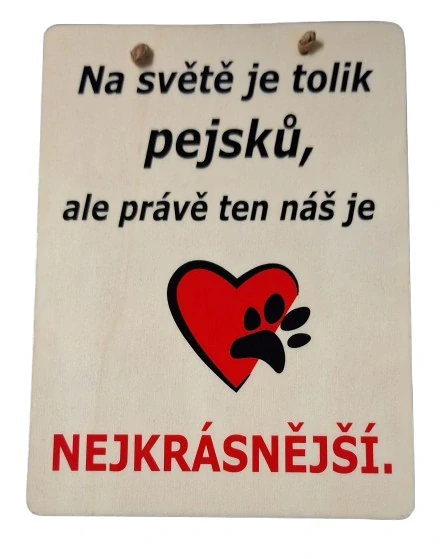 Dárková dřevěná cedulka ps3643