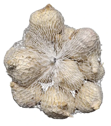 Sadbový česnek Flavor – jarní 500 g