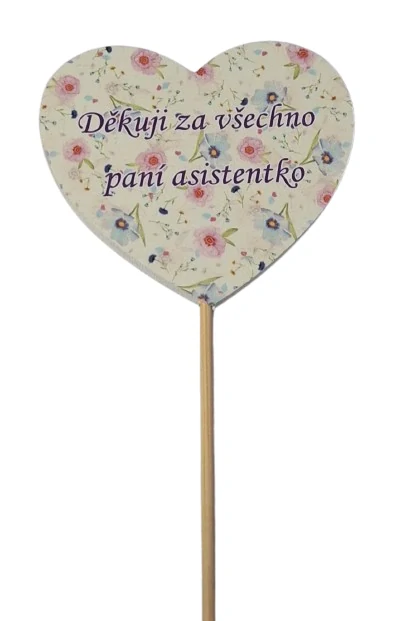Zápich děkuji za všechno ph5370
