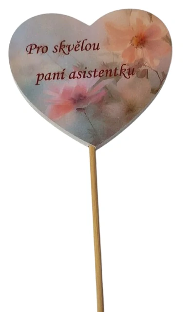 Zápich pro skvělou paní asistentku ph5372