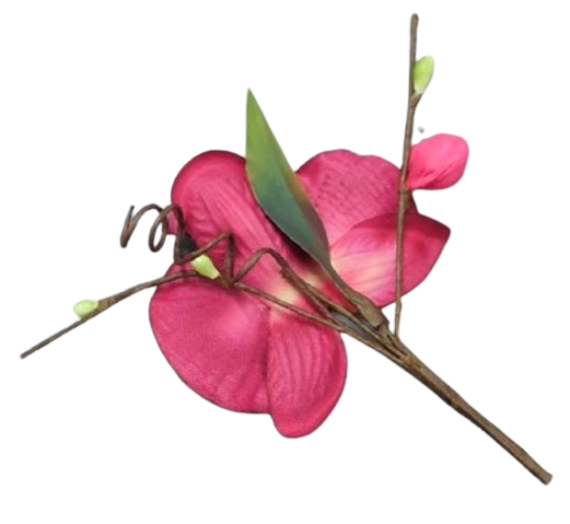 dekorace orchidey