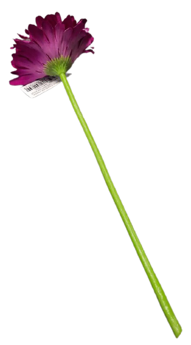 Gerbera na stonku ps1794