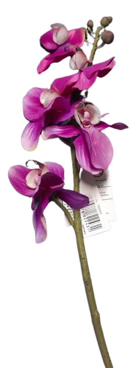 orchidea na stonku ps1846