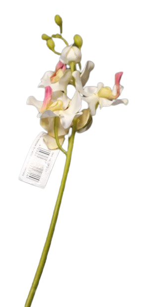 orchidea na stonku ps1847