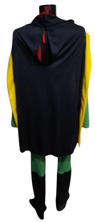 Maska kostým Robin ph179