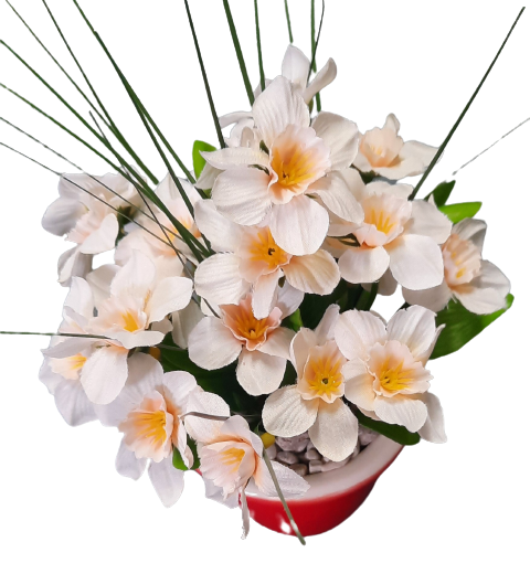 Narcisky v květináči ph1995