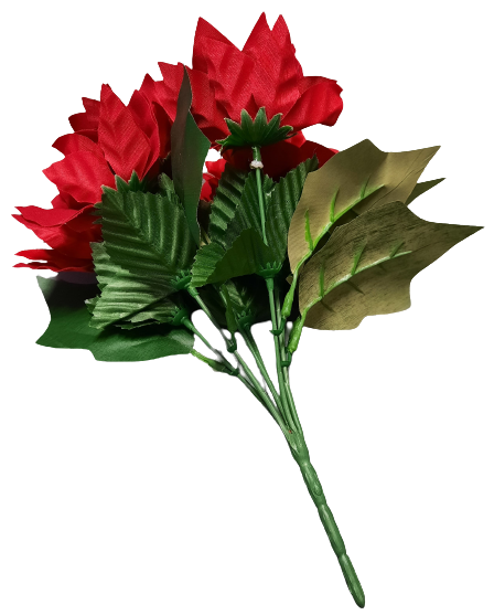 Vánoční hvězda ph2319