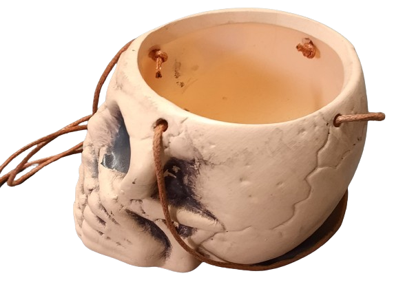 Závěsný květináč lebka ps2799