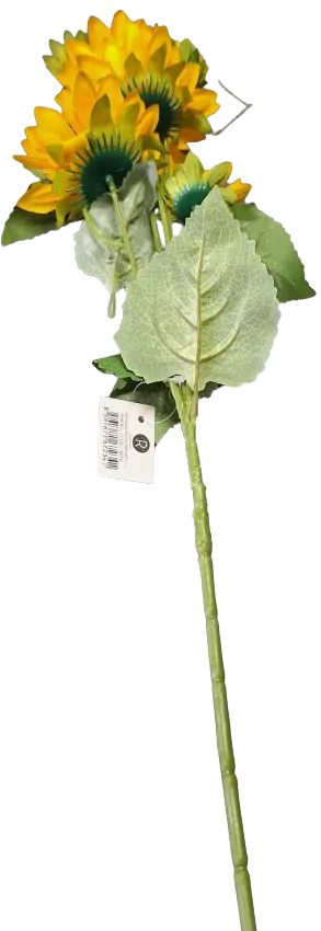 slunečnice 7 květů