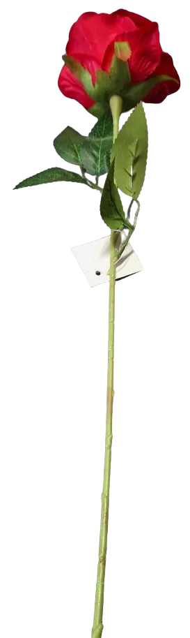 růže 1 květ červená