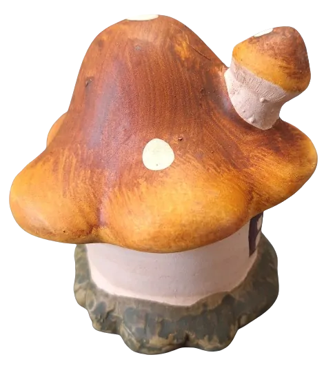 Mochomůrka hnědá