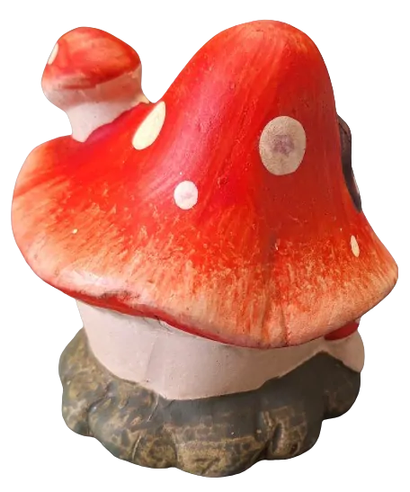 Mochomůrka červená