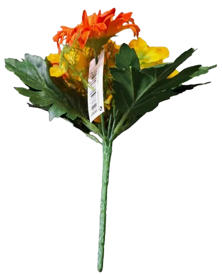 puget gerbera oranžová