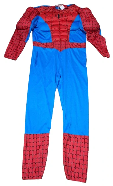 Pánský maškarní kostým Spider-Man ph5386
