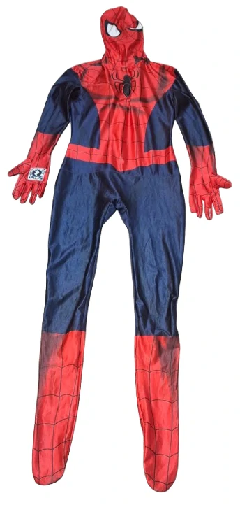 Pánský kostým Spider hrdina ph5390