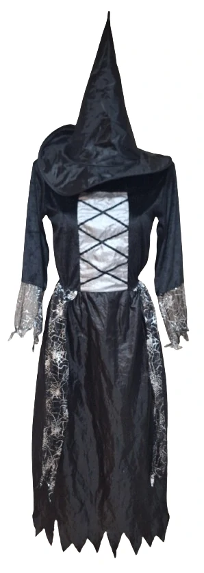 Dámský kostým čarodějnice ph5485
