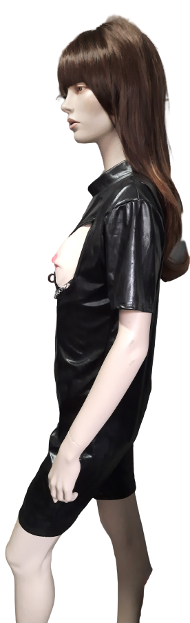 Sexy domina ps2157