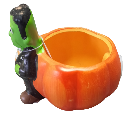 Obal na kaktus ps2615