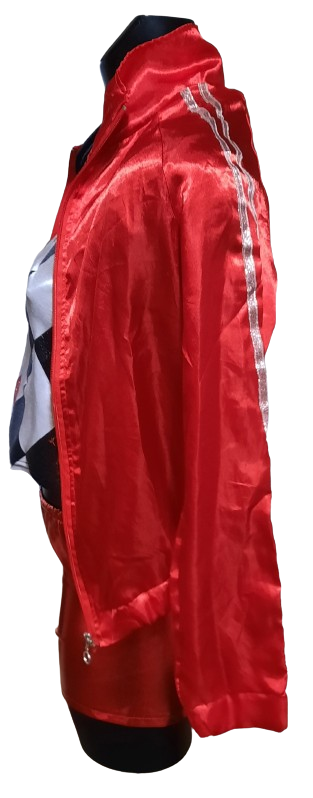 Maska kostym Harley ph2611
