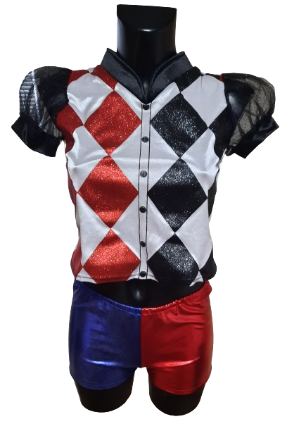 Maska kostym Harley ph2611