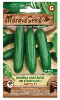 Okurka salátová do foliovníkuTWENTY F1