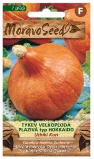 Tykev velkoplodá plazivá typ HOKKAYDO UCHIKI kURI