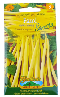 Fazol keříčkový - Sonesta