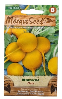 Ředkvička Zlata – žlutá kulatá semena MoravoSeed